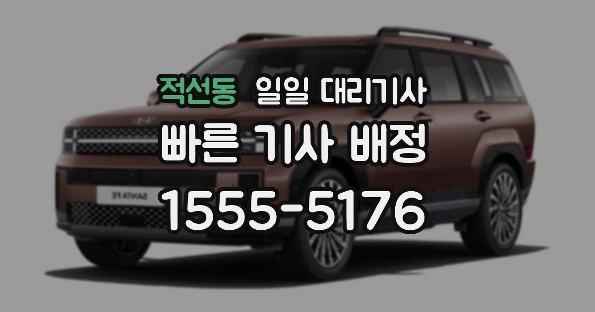 적선동 일일 대리기사