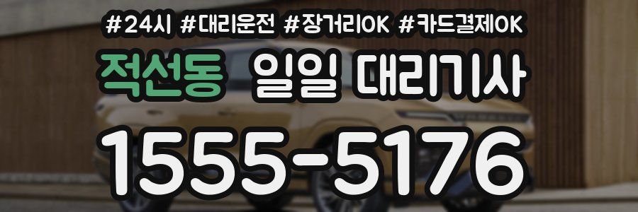 적선동 일일 대리기사