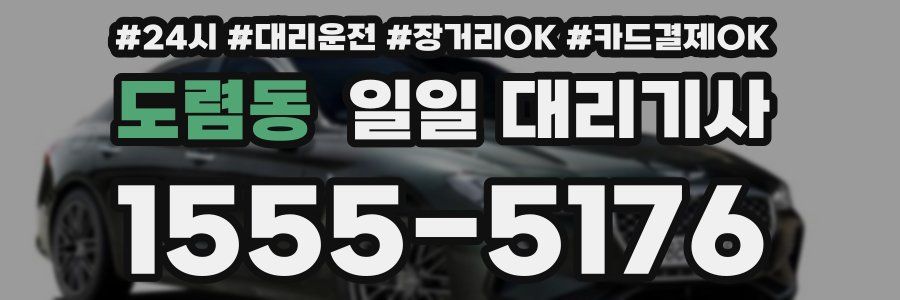 도렴동 일일 대리기사