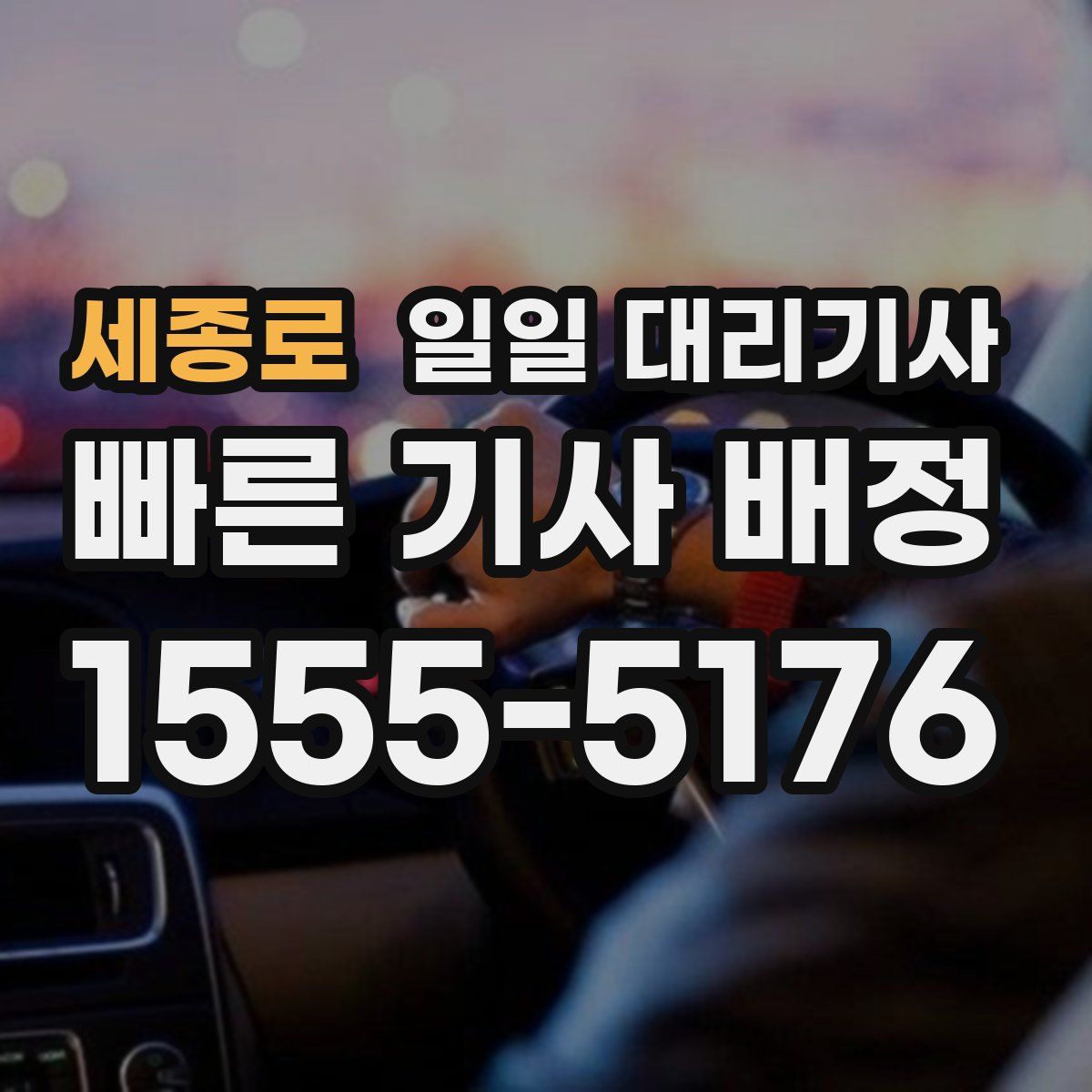 세종로 일일 대리기사