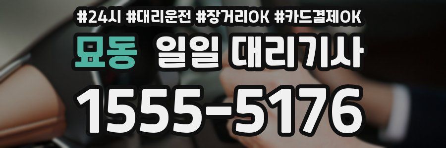 묘동 일일 대리기사