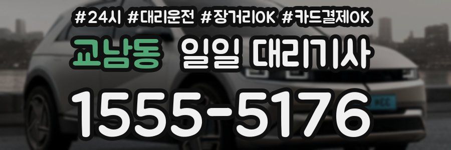 교남동 일일 대리기사