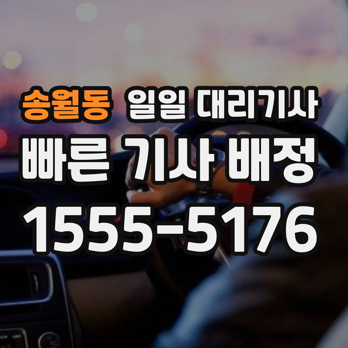 송월동 일일 대리기사