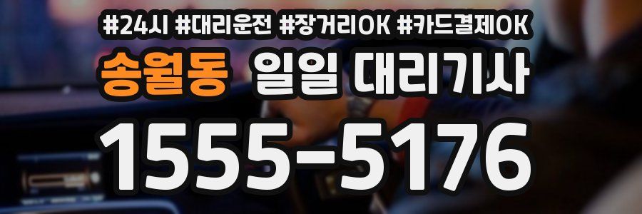 송월동 일일 대리기사