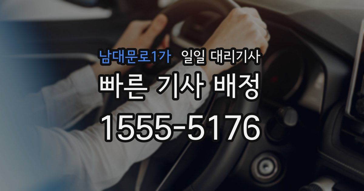 남대문로1가 일일 대리기사