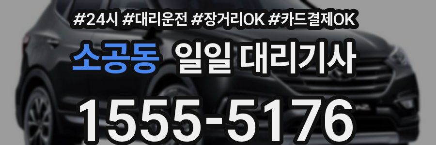 소공동 일일 대리기사