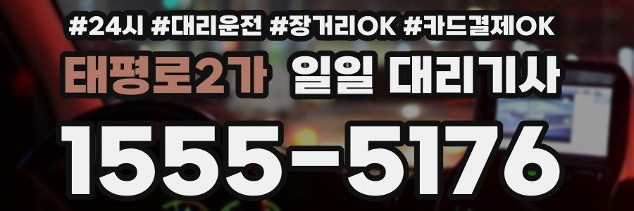 태평로2가 일일 대리기사