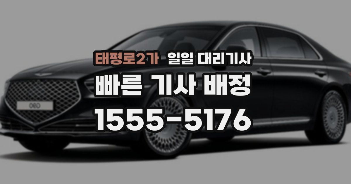 태평로2가 일일 대리기사