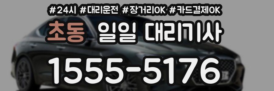초동 일일 대리기사