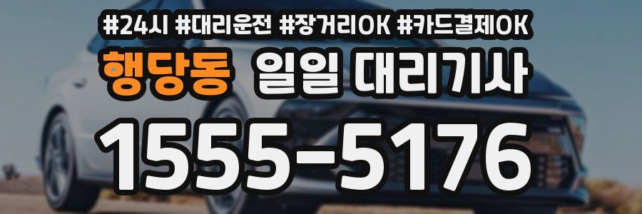 행당동 일일 대리기사