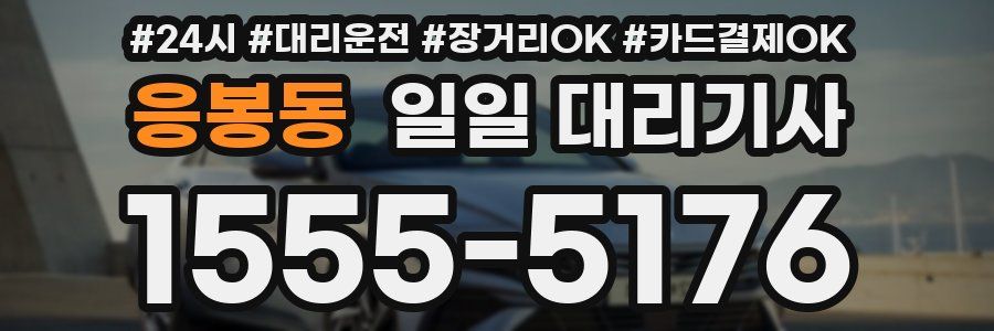 응봉동 일일 대리기사