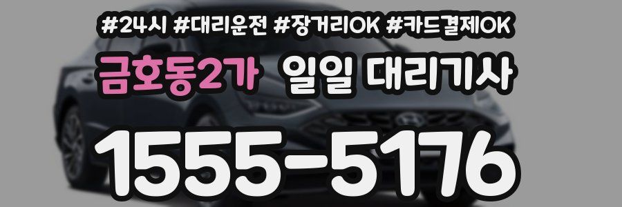 금호동2가 일일 대리기사
