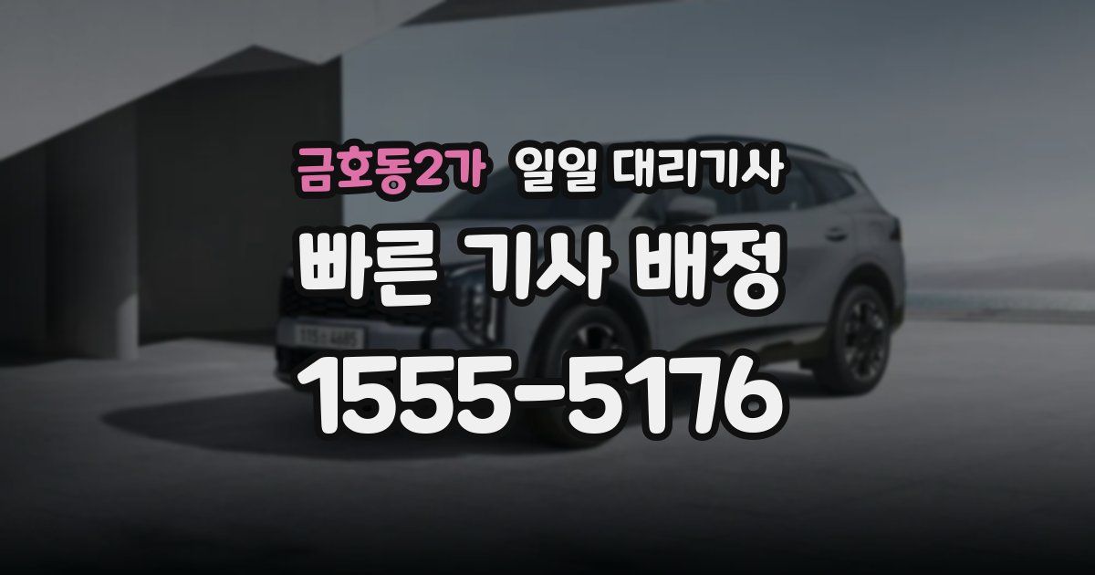 금호동2가 일일 대리기사