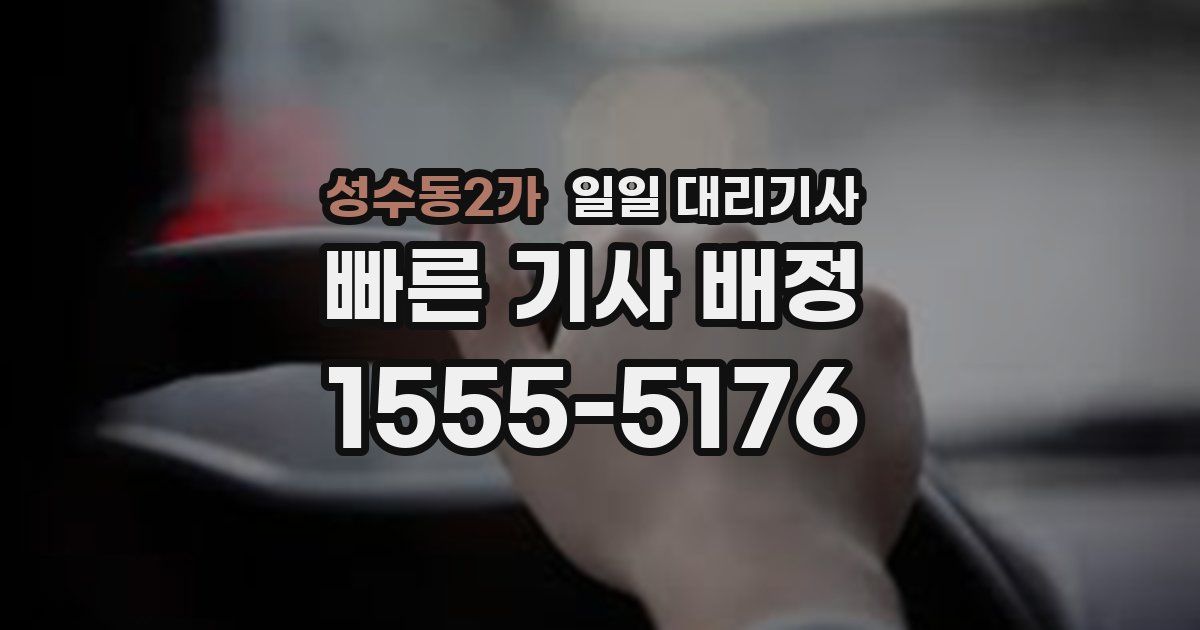 성수동2가 일일 대리기사
