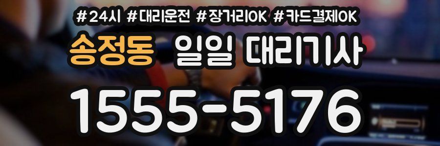 송정동 일일 대리기사