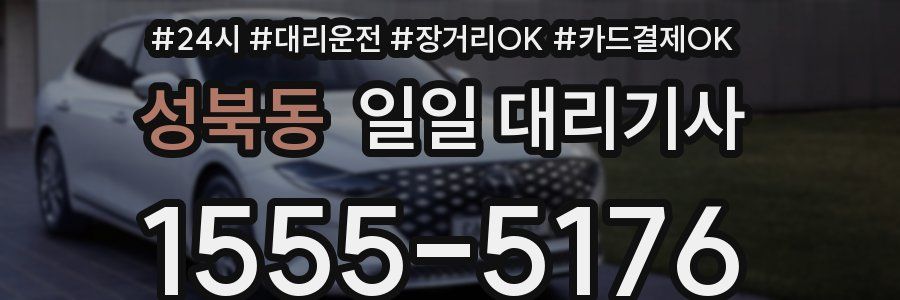 성북동 일일 대리기사