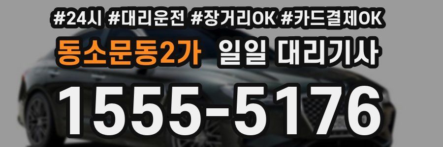 동소문동2가 일일 대리기사