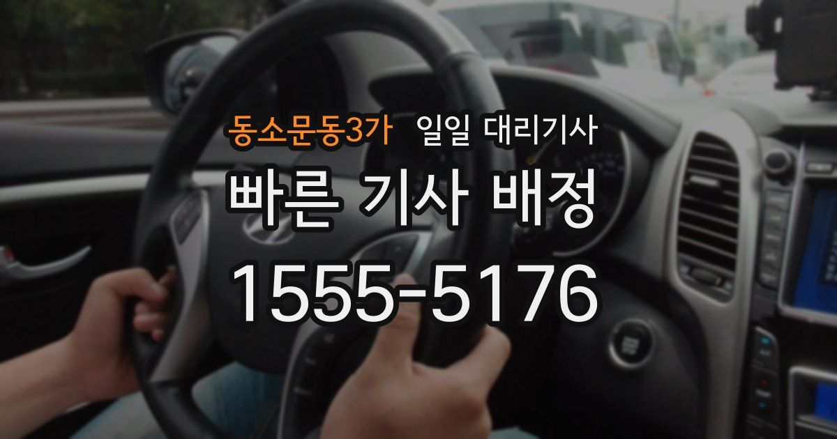 동소문동3가 일일 대리기사