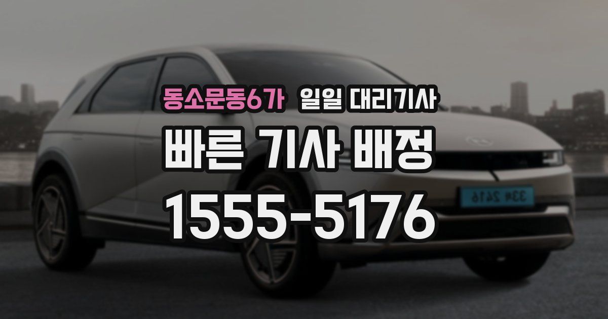 동소문동6가 일일 대리기사