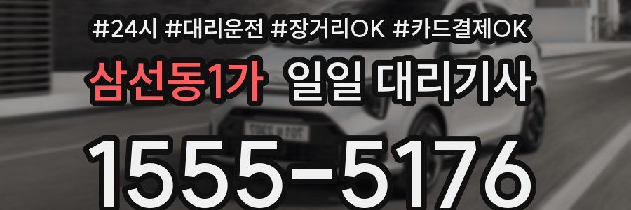 삼선동1가 일일 대리기사