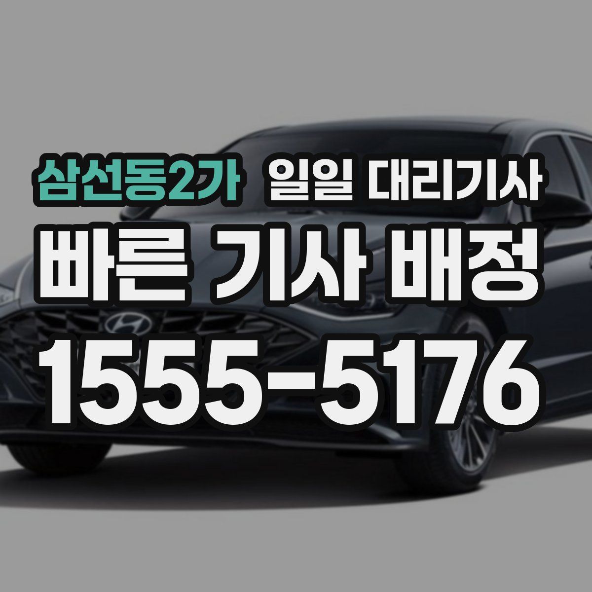 삼선동2가 일일 대리기사