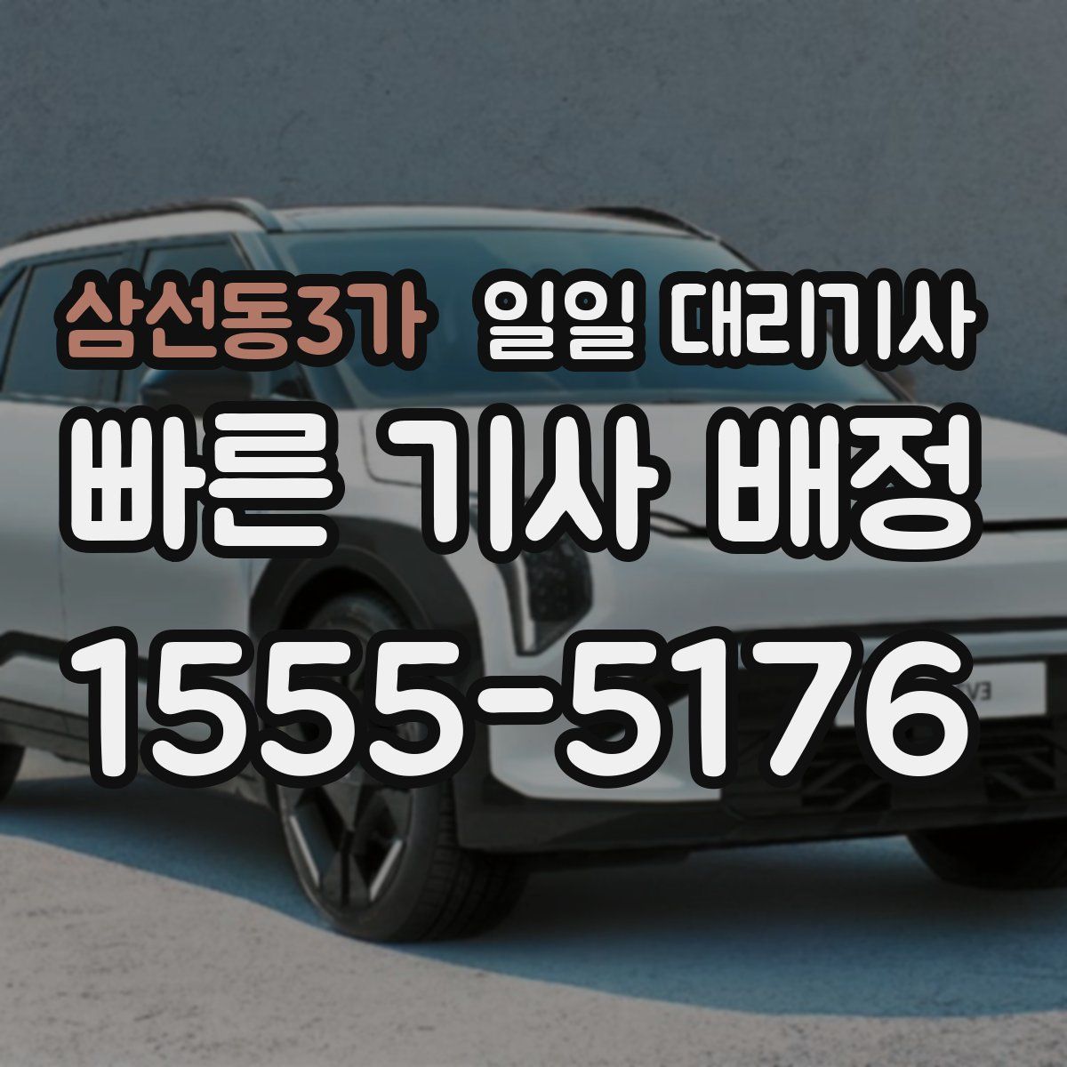 삼선동3가 일일 대리기사