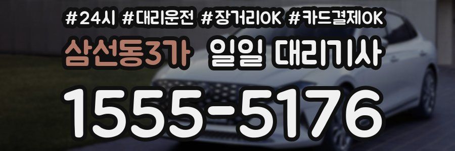 삼선동3가 일일 대리기사