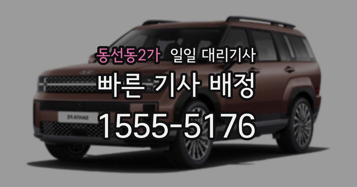 동선동2가 일일 대리기사