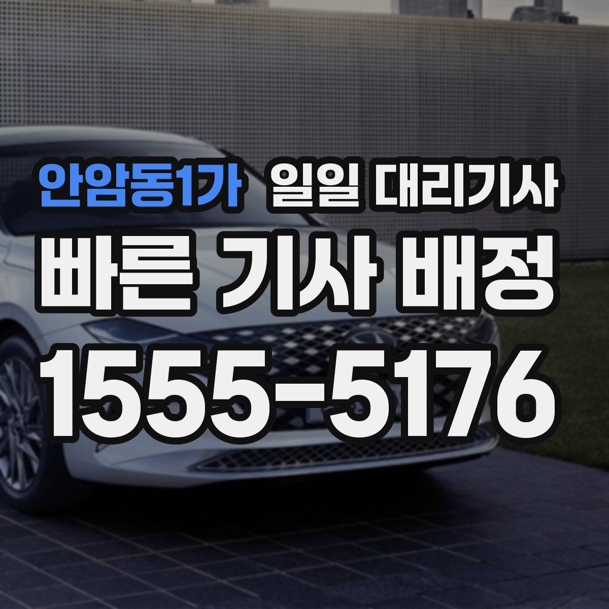 안암동1가 일일 대리기사