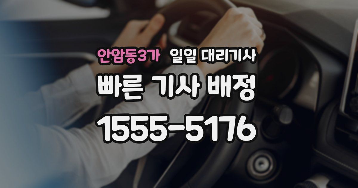 안암동3가 일일 대리기사