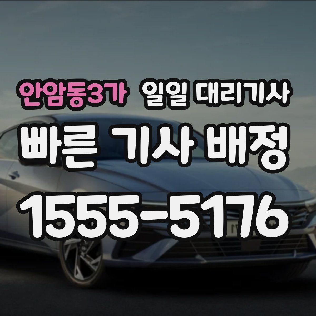 안암동3가 일일 대리기사