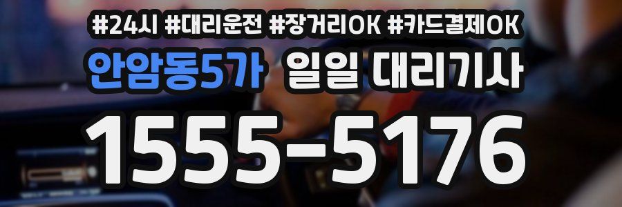 안암동5가 일일 대리기사
