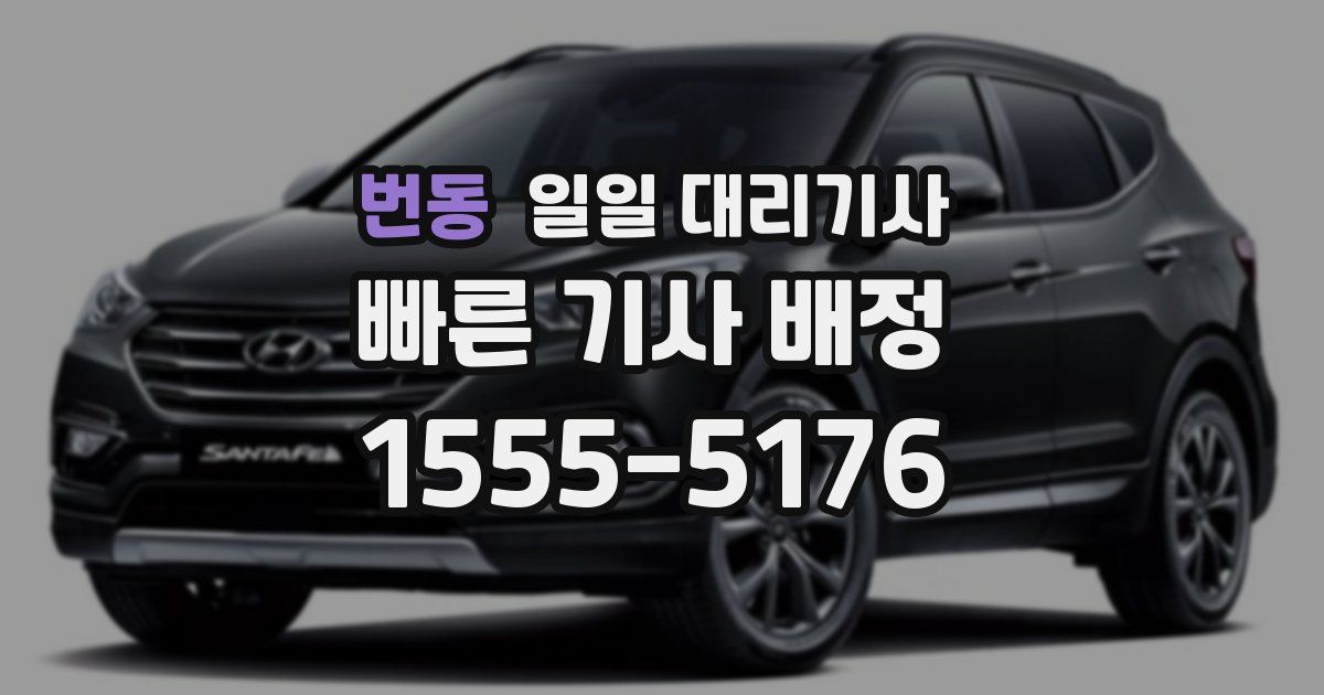 번동 일일 대리기사