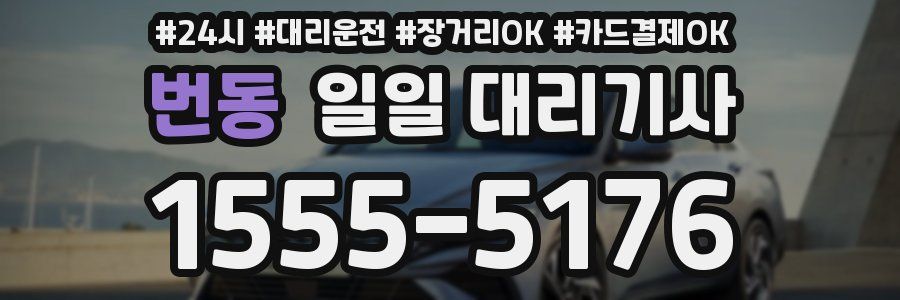 번동 일일 대리기사
