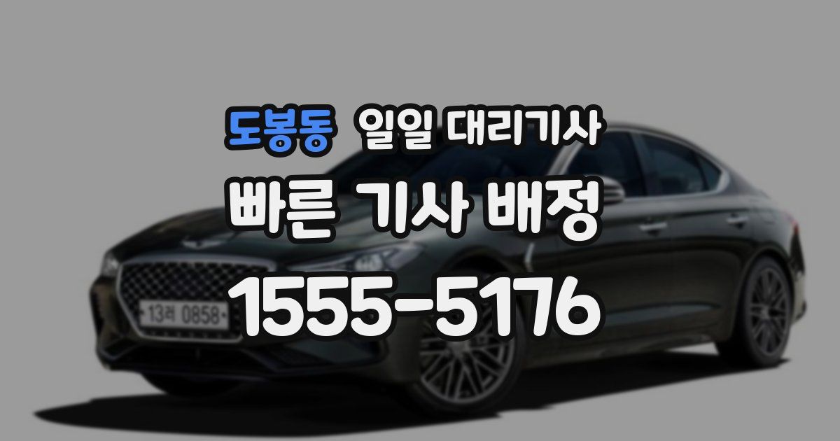 도봉동 일일 대리기사