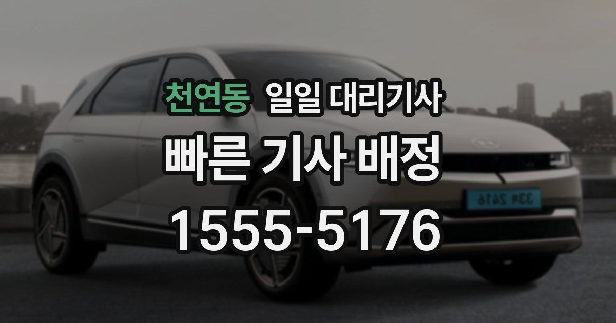 천연동 일일 대리기사