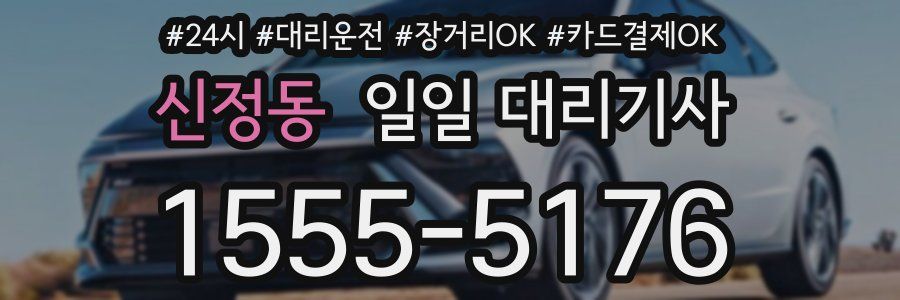 신정동 일일 대리기사