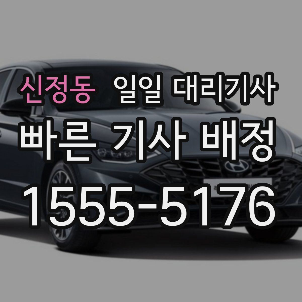 신정동 일일 대리기사