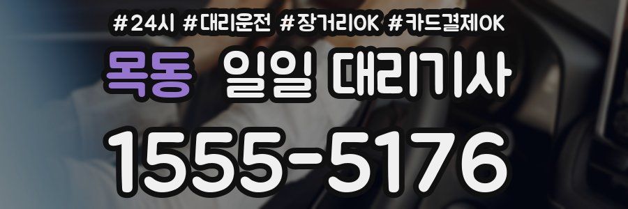 목동 일일 대리기사