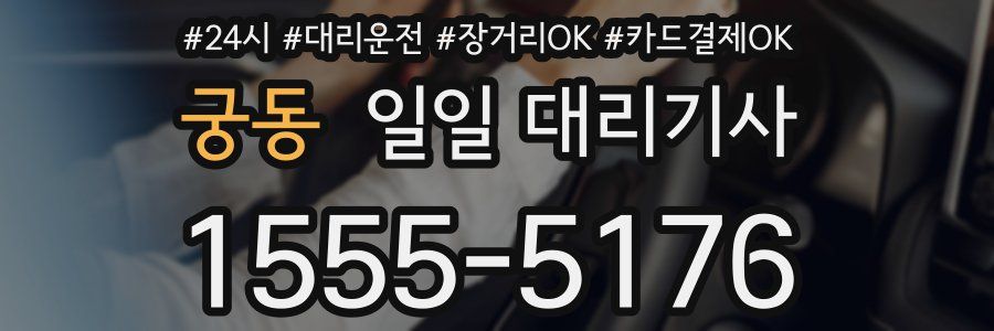 궁동 일일 대리기사