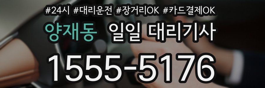 양재동 일일 대리기사