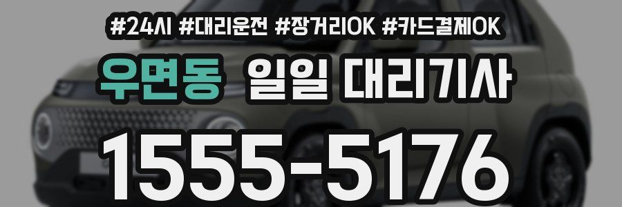 우면동 일일 대리기사