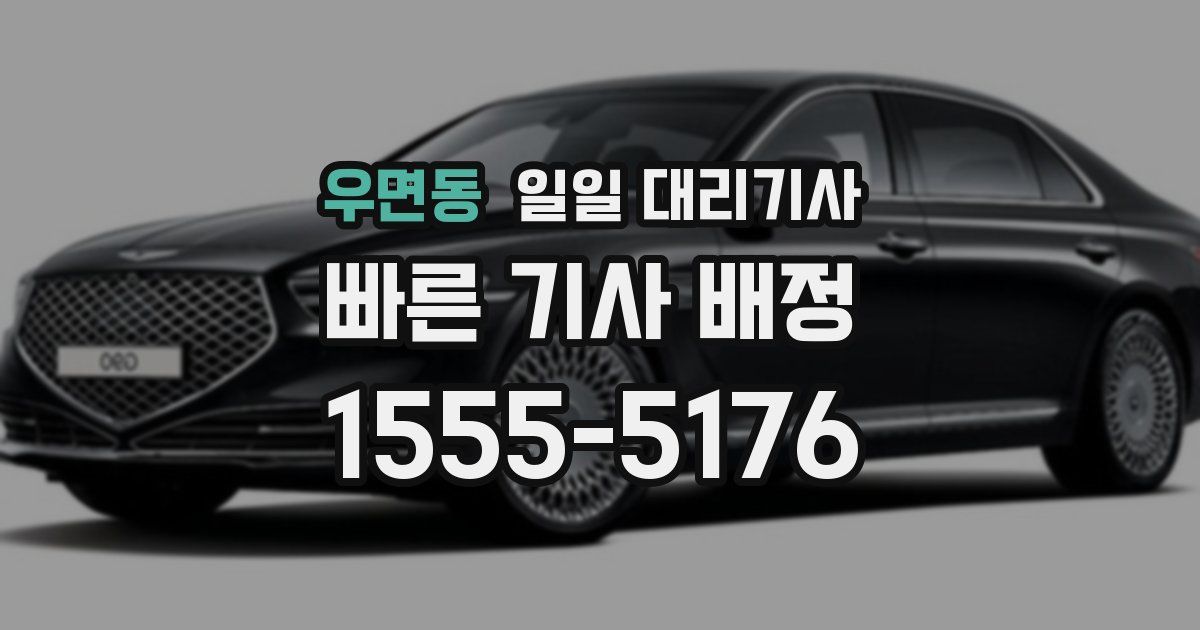 우면동 일일 대리기사