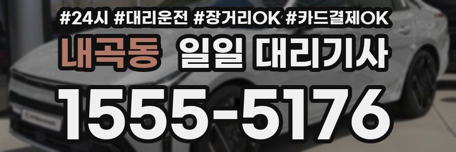 내곡동 일일 대리기사