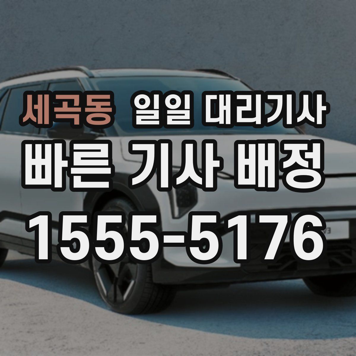 세곡동 일일 대리기사