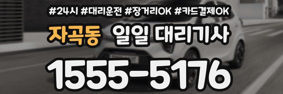 자곡동 일일 대리기사