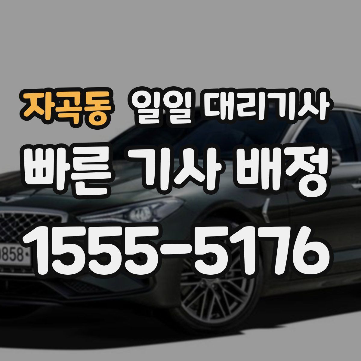자곡동 일일 대리기사