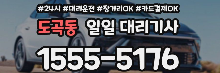 도곡동 일일 대리기사