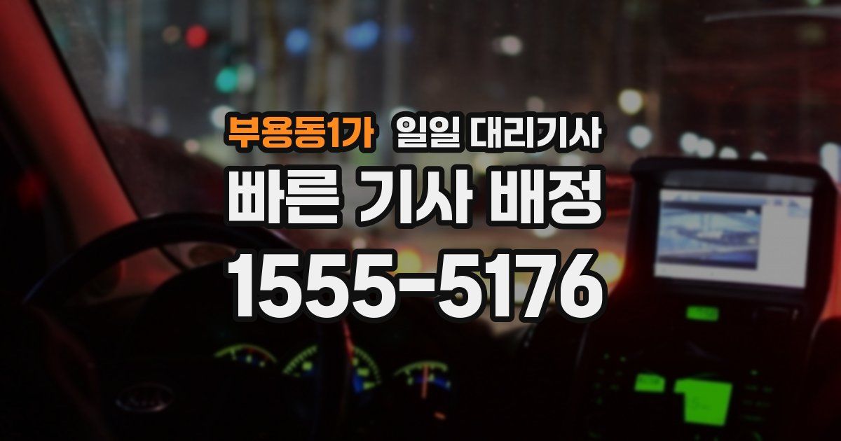 부용동1가 일일 대리기사