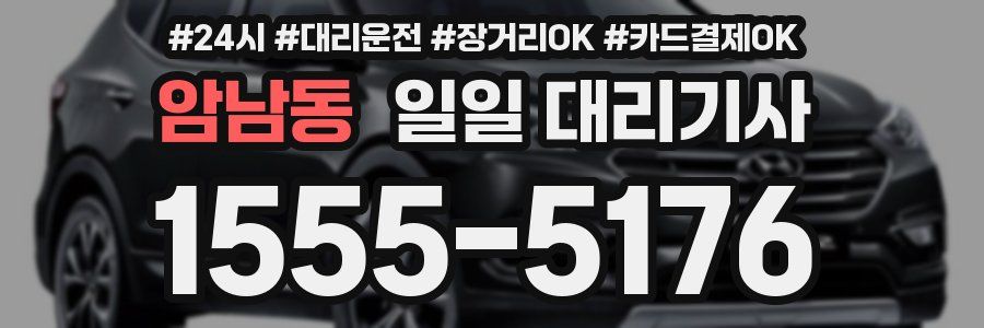 암남동 일일 대리기사